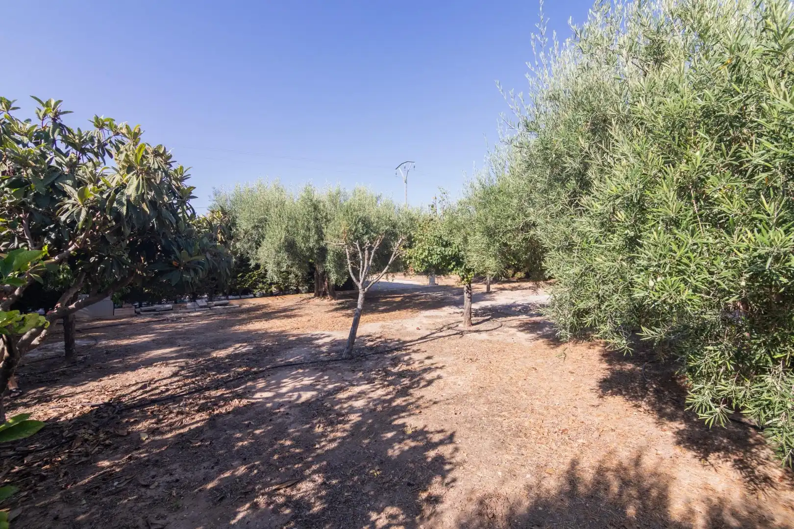 Chalet con piscina en venta en Partida HORNA BAJA 16, imagen 59