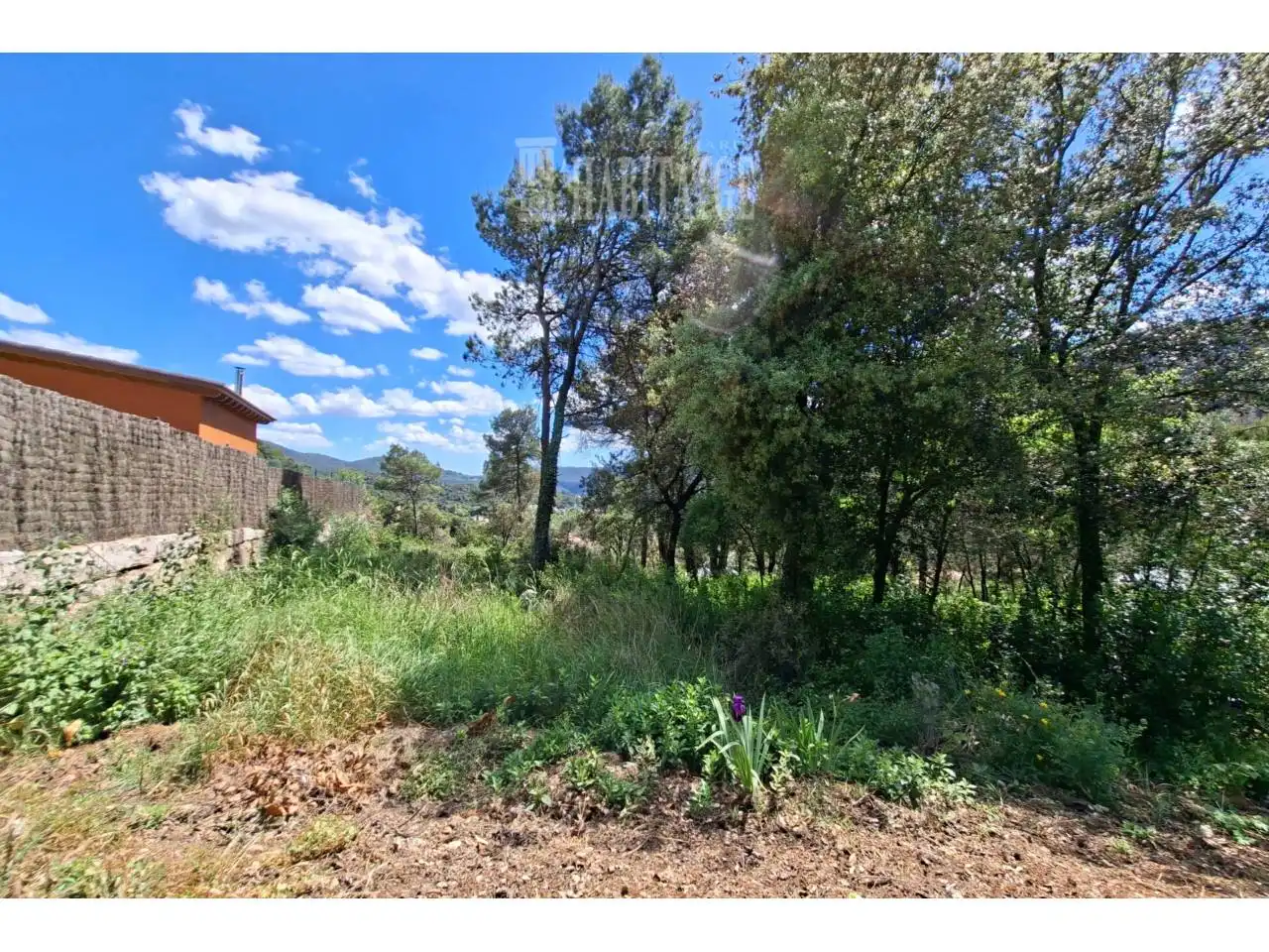 Terreno rustico in vendita a Calle Maria Fortuny, imagen 6