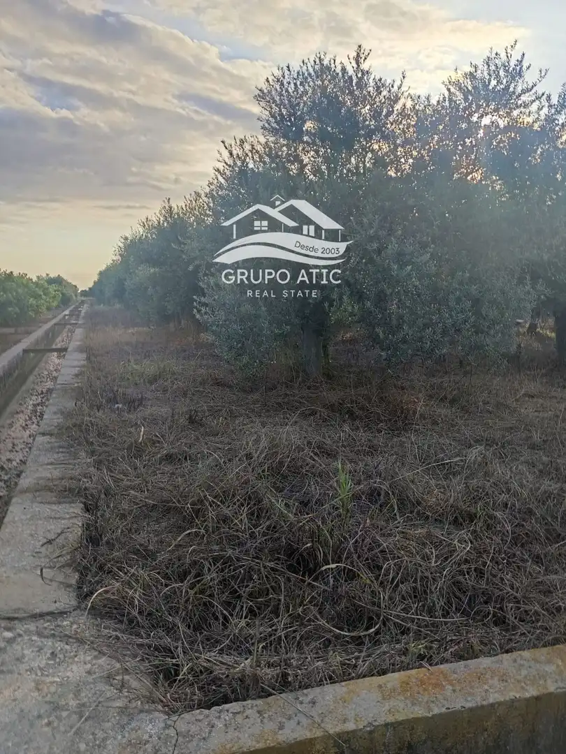 Terreno rústico en venta en Piscinas, imagen 4