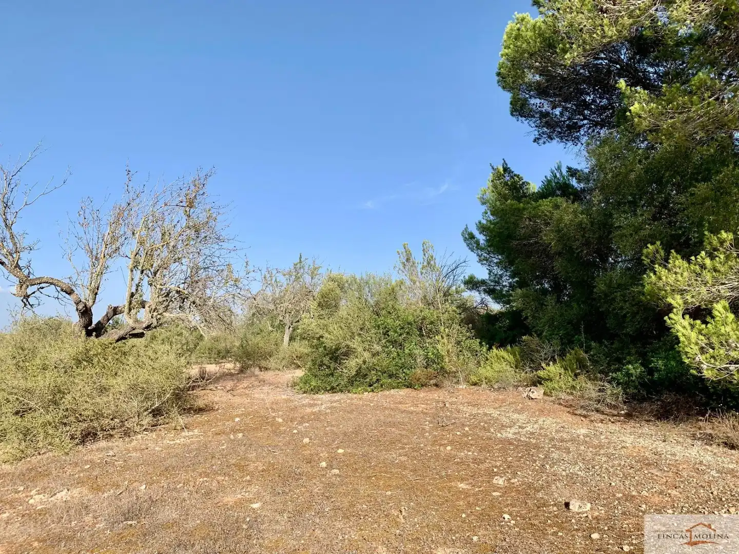 Terreni e lotti in vendita a Mugardos, imagen 11