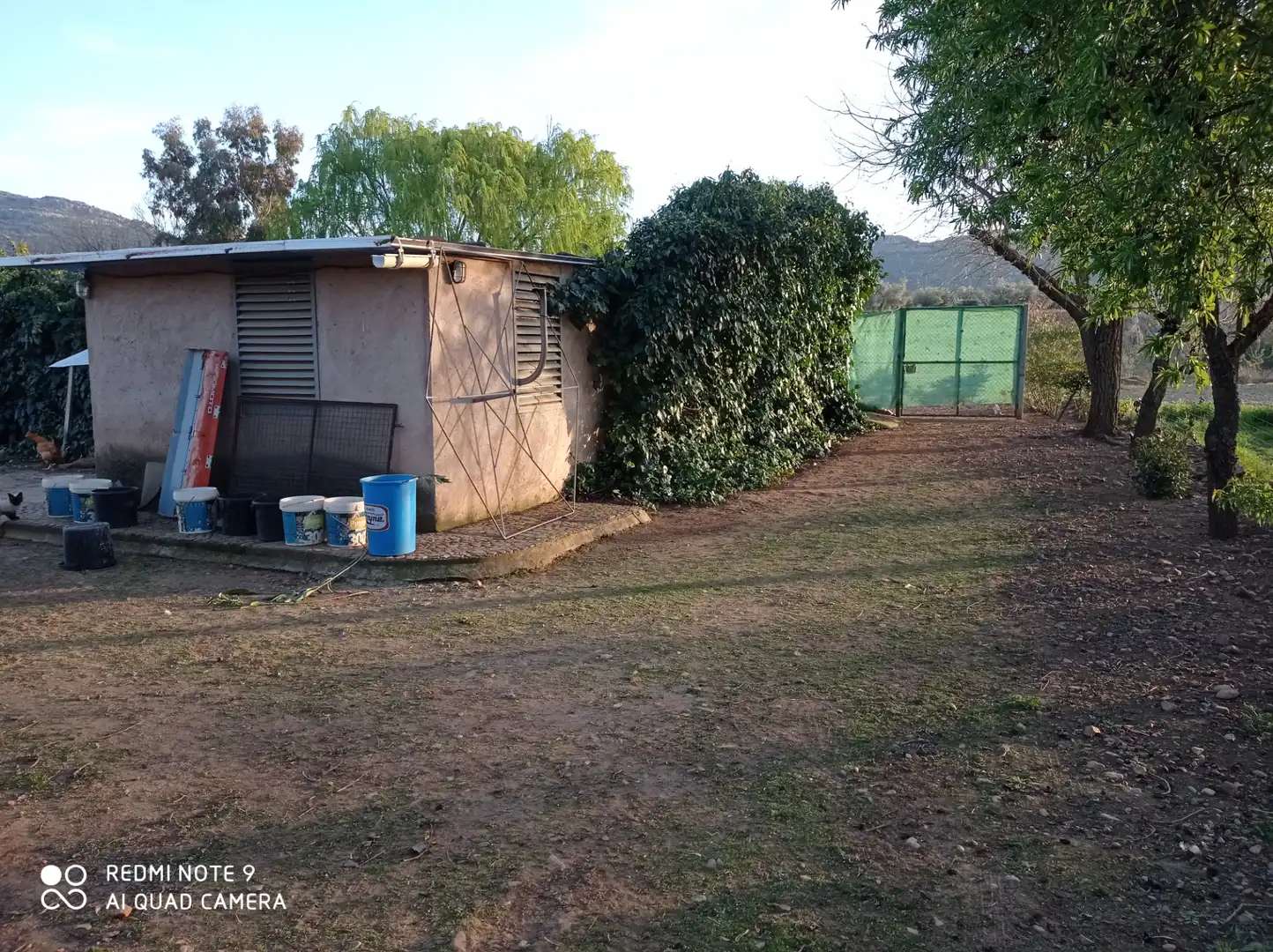 Chalet con jardín en venta en Porzuna, imagen 17