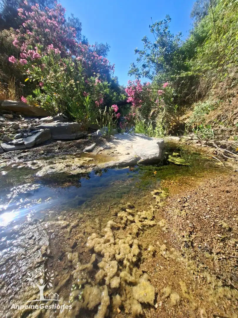 Garden of Land for sale in Las Navas de la Concepción