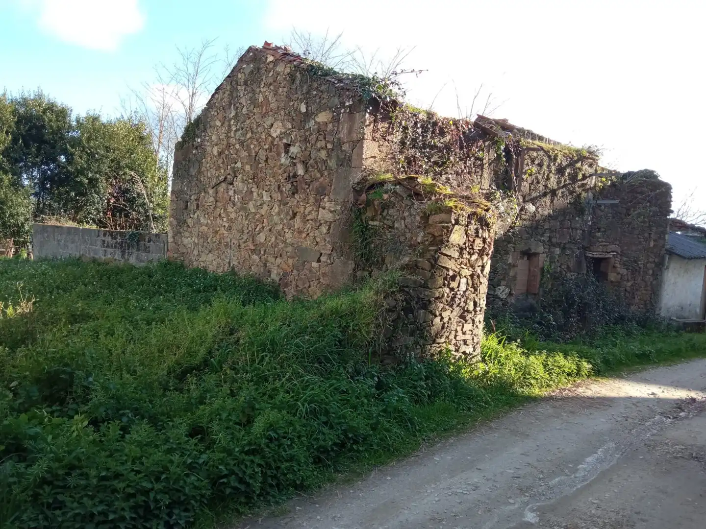 Exterior view of Houses for sale in Carballo