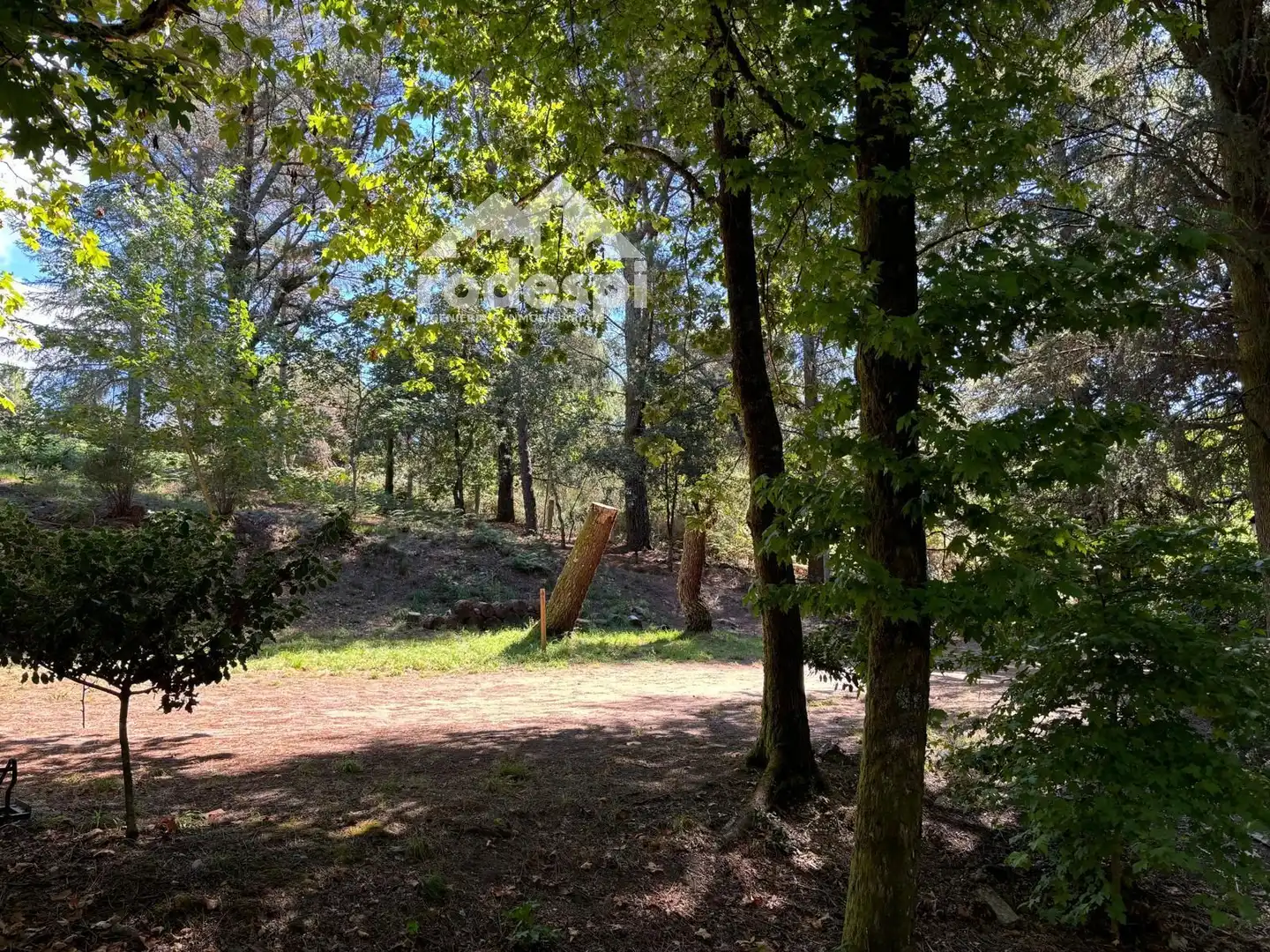 Terreny rústic en venda a A Cañiza, imagen 42