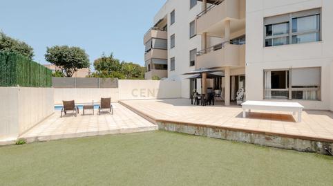 Photo 3 of Planta baja for sale in Av. de Sant Jordi, 07800 Ibiza, Spain, 39, Ses Figueretes - Platja d'en Bossa - Cas Serres, Illes Balears