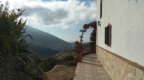Foto 4 de Finca rústica en venda a Alcaucín, Málaga