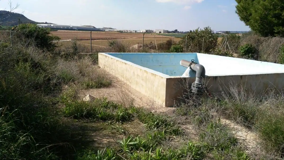 Swimming pool of Country homes for sale in Fuente Álamo de Murcia