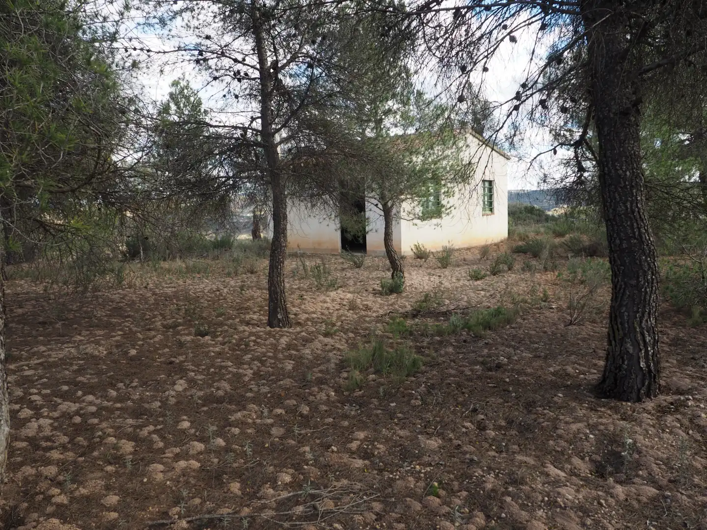 Terrain rustique à vendre à Avinguda Colònia 5, imagen 5