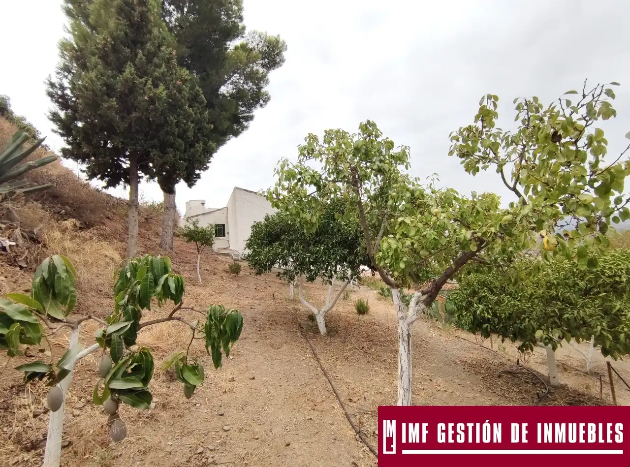 Jardín de Finca rústica en venta en Vélez-Málaga con Jardín privado, Terraza y Trastero