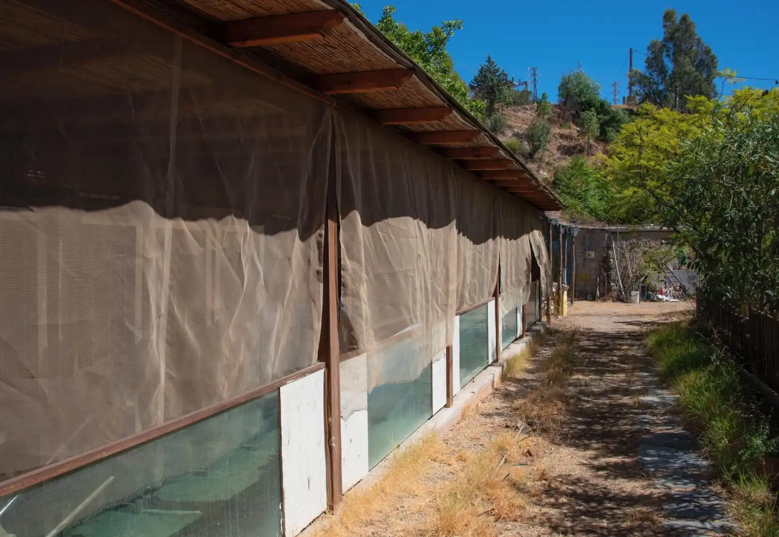 Casa rústica amb piscina en venda a El Pinar, imagen 24