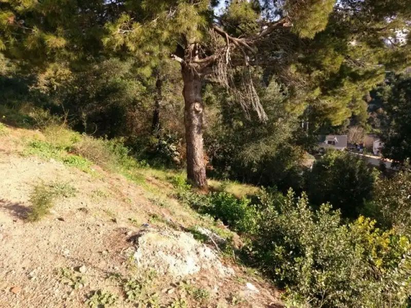 Residential land for sale in Santa Susanna, imagen 2