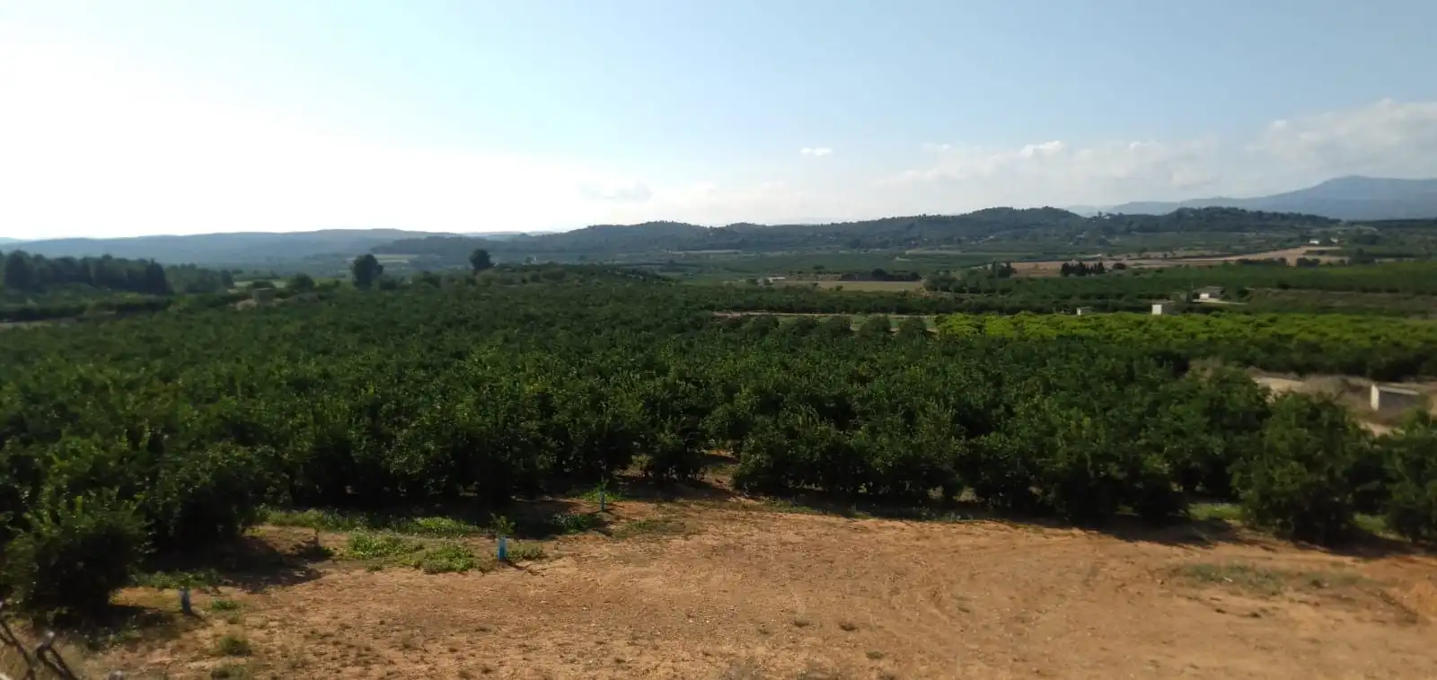 Finca rústica en venta en Pedralba con Jardín privado, Terraza y Trastero