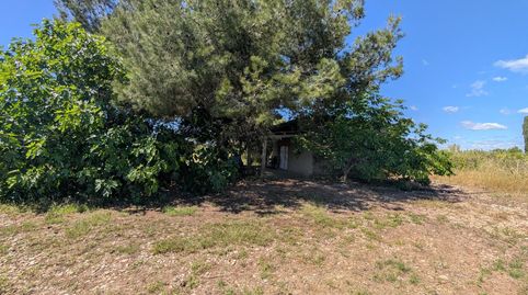 Foto 3 de Terreno en venta en Partidas de interior - Zona Rústica, Vinaròs