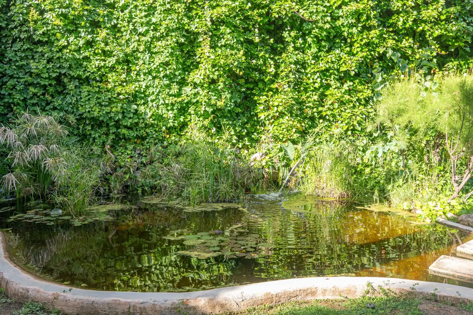 Jardí de Pis de lloguer en  Palma de Mallorca
