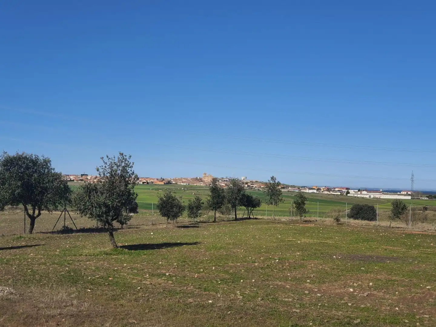 Industrial buildings for sale in Bernardos