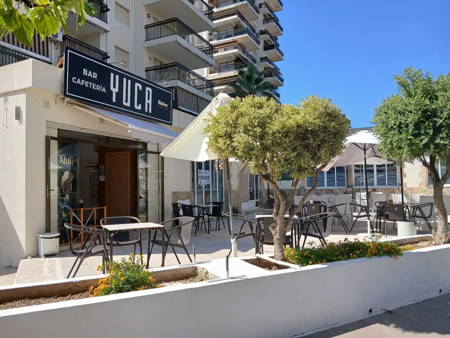 Local de alquiler en Playa de Gandia