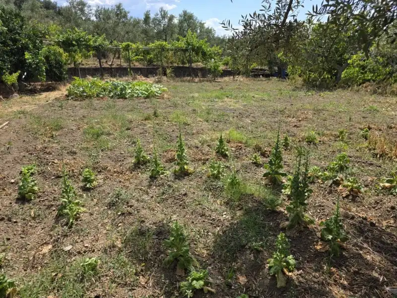 Terreni e lotti in vendita a Miralvalle - Av. Virgen del Puerto - La Data, imagen 16