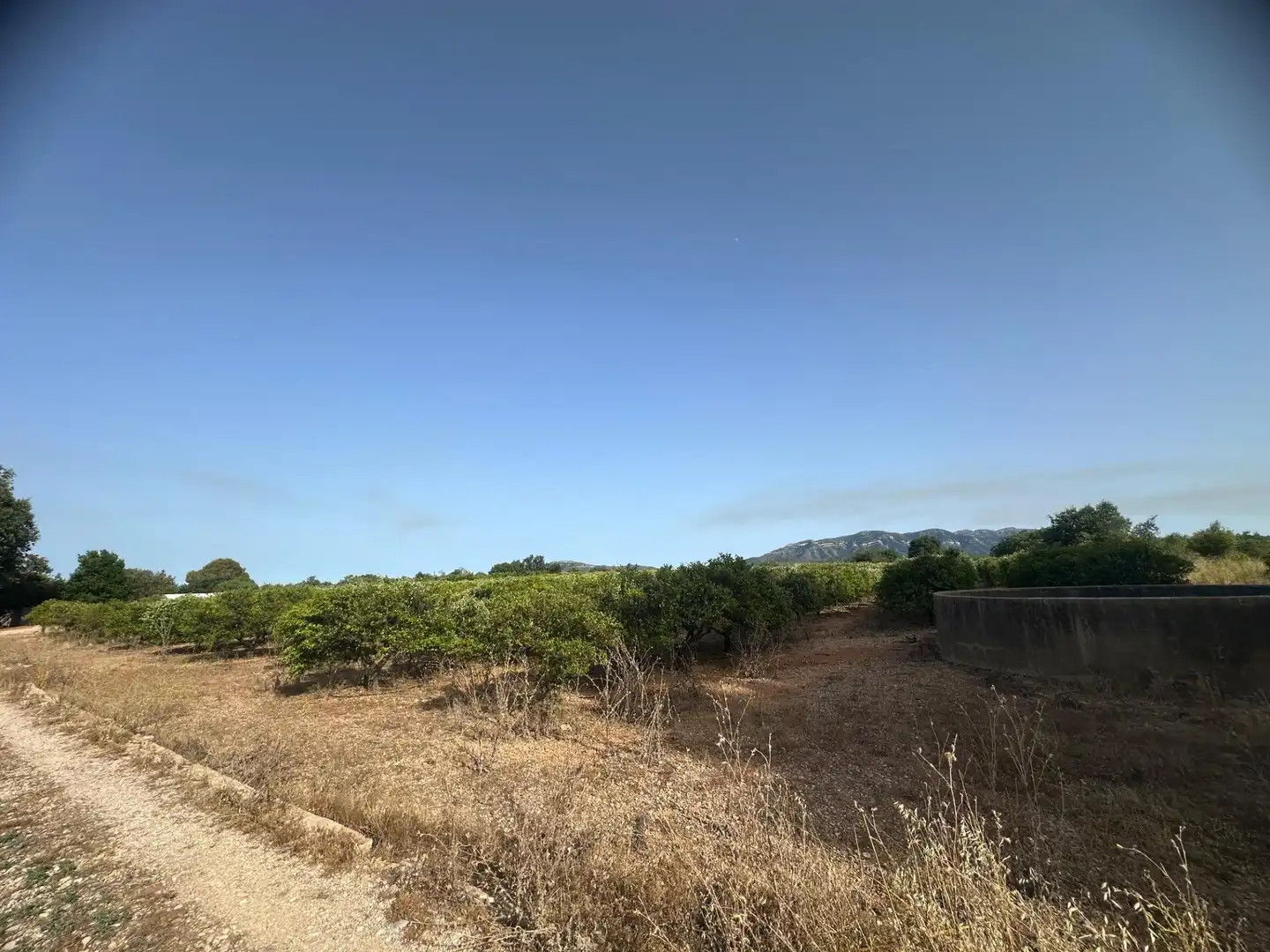 Rural land for sale in Masdenverge, imagen 12
