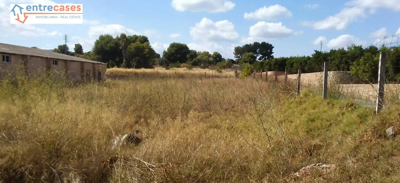 Rural land for sale in Albalat dels Tarongers, imagen 16