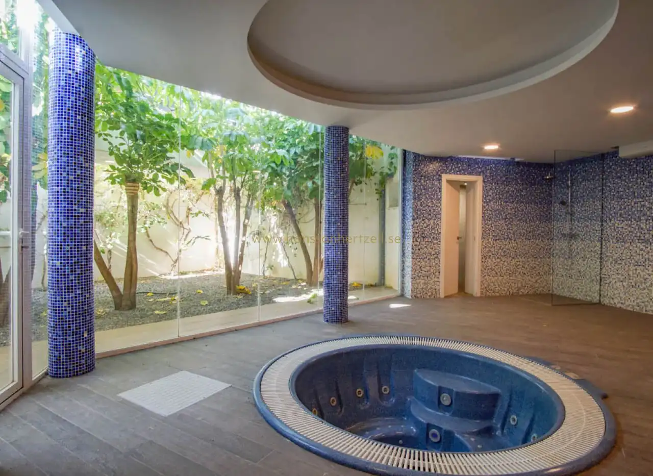 Swimming pool of Houses for sale in Alicante / Alacant