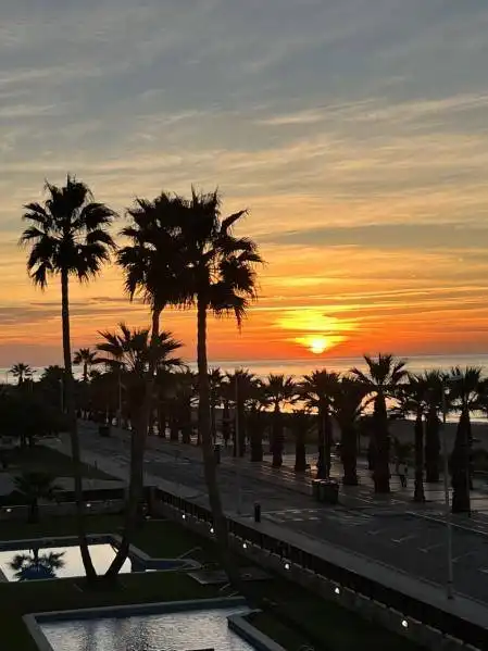 Local comercial en alquiler en Les Salines - Pla de Sant Pere, imagen 12