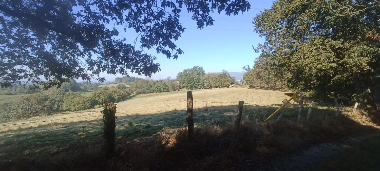 Finca rústica en venta en Nava