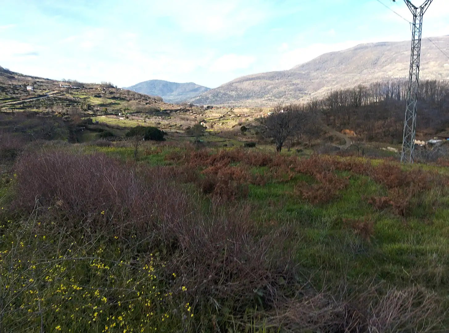 Land for sale in Casas del Castañar