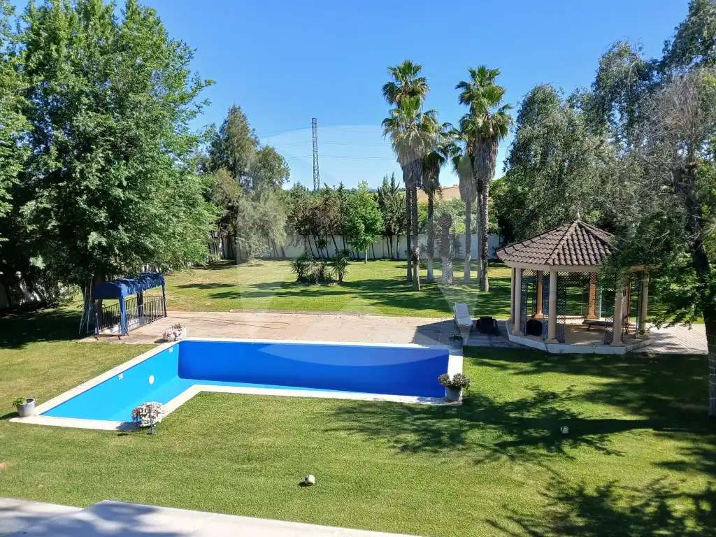Xalet amb terrassa en venda a Calle Pantano De Puerto Peña, imagen 3