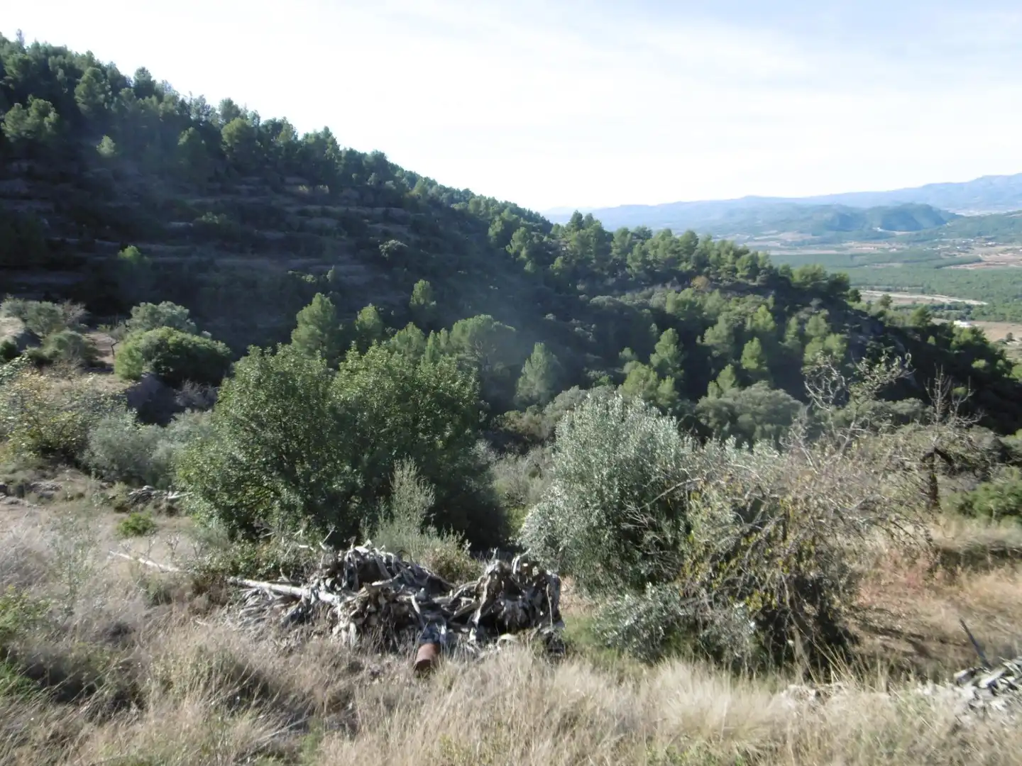 Finca rústica en venta en Sierra Engarcerán con Jardín privado y Trastero