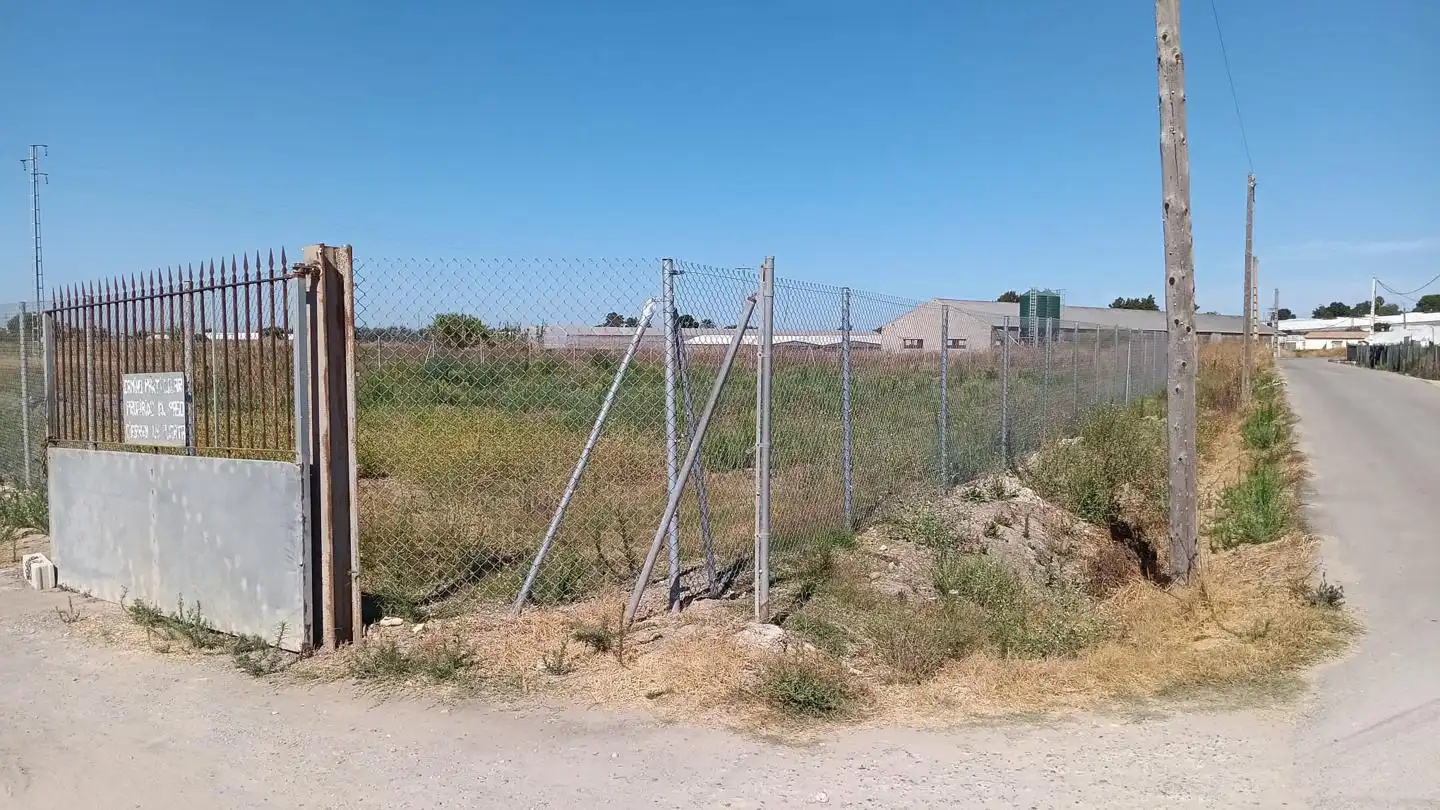 Terreni e lotti in vendita a Los Llanos, imagen 3