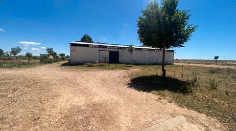 Photo 4 of House or chalet for sale in N/a, -1, Torralba de Calatrava, Ciudad Real