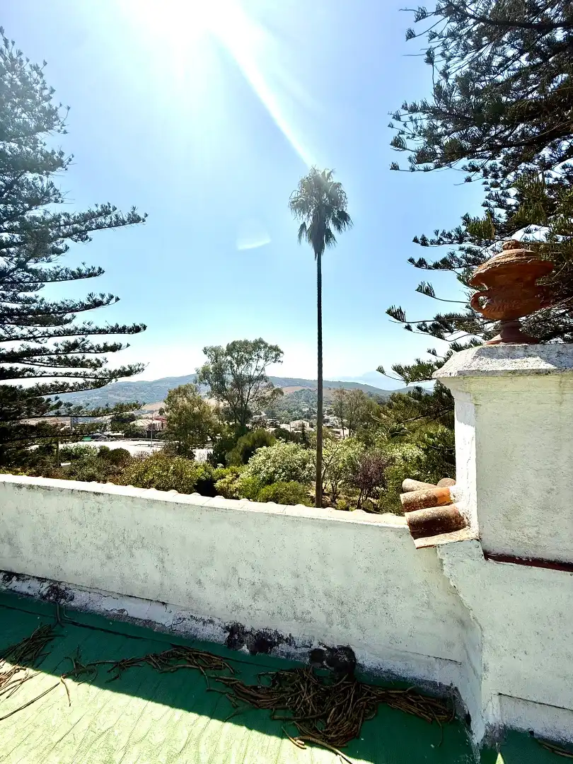 Vista exterior de Casa o chalet en venta en Algeciras con Jardín privado, Terraza y Piscina