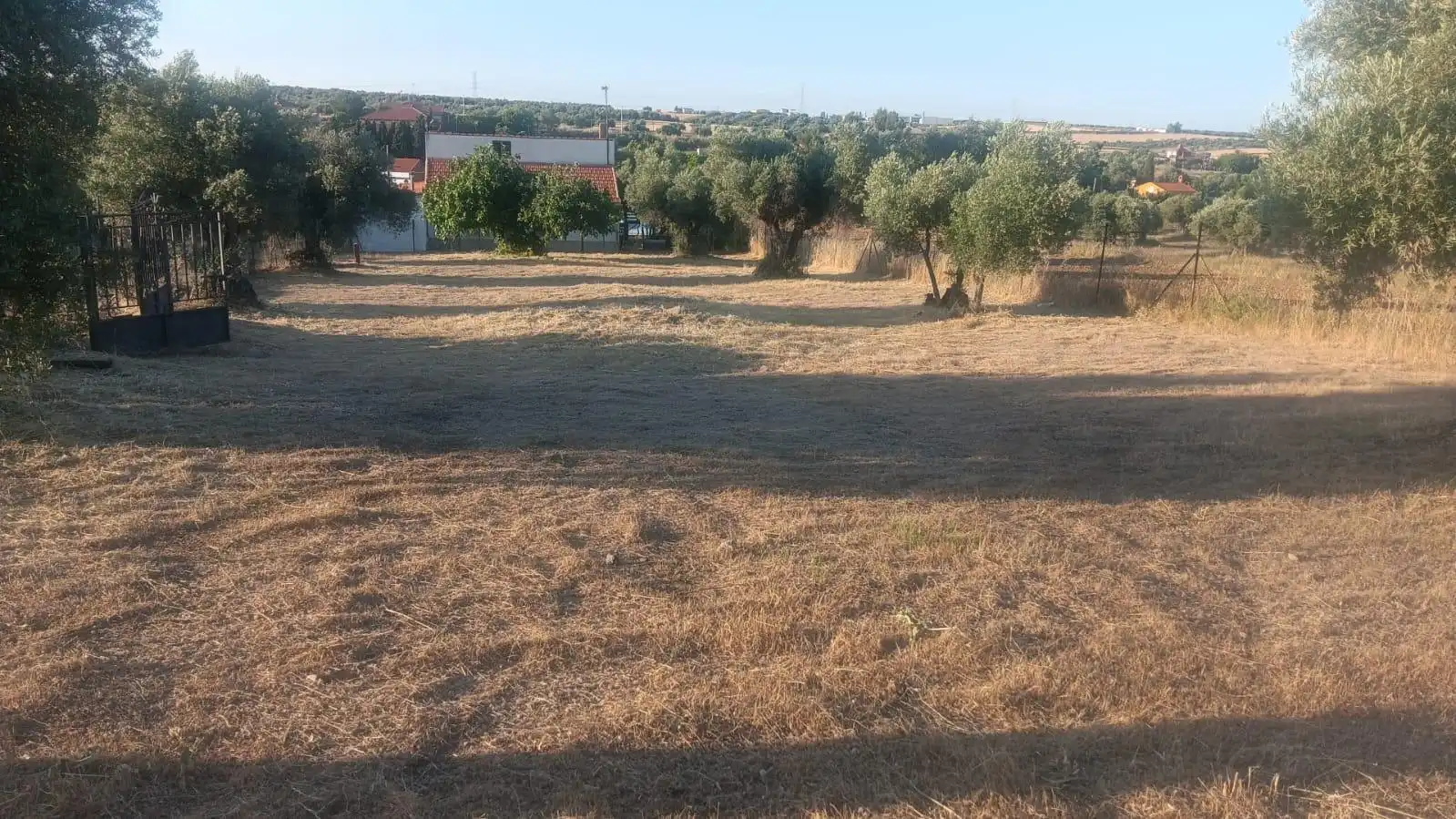Lands and plots for sale in Pantoja, imagen 5