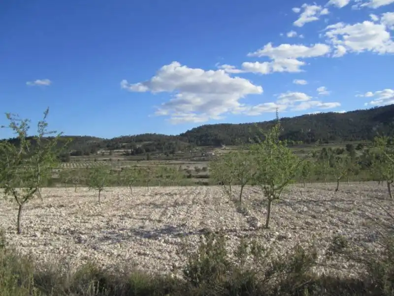 Casa en venda a Salinas, imagen 22
