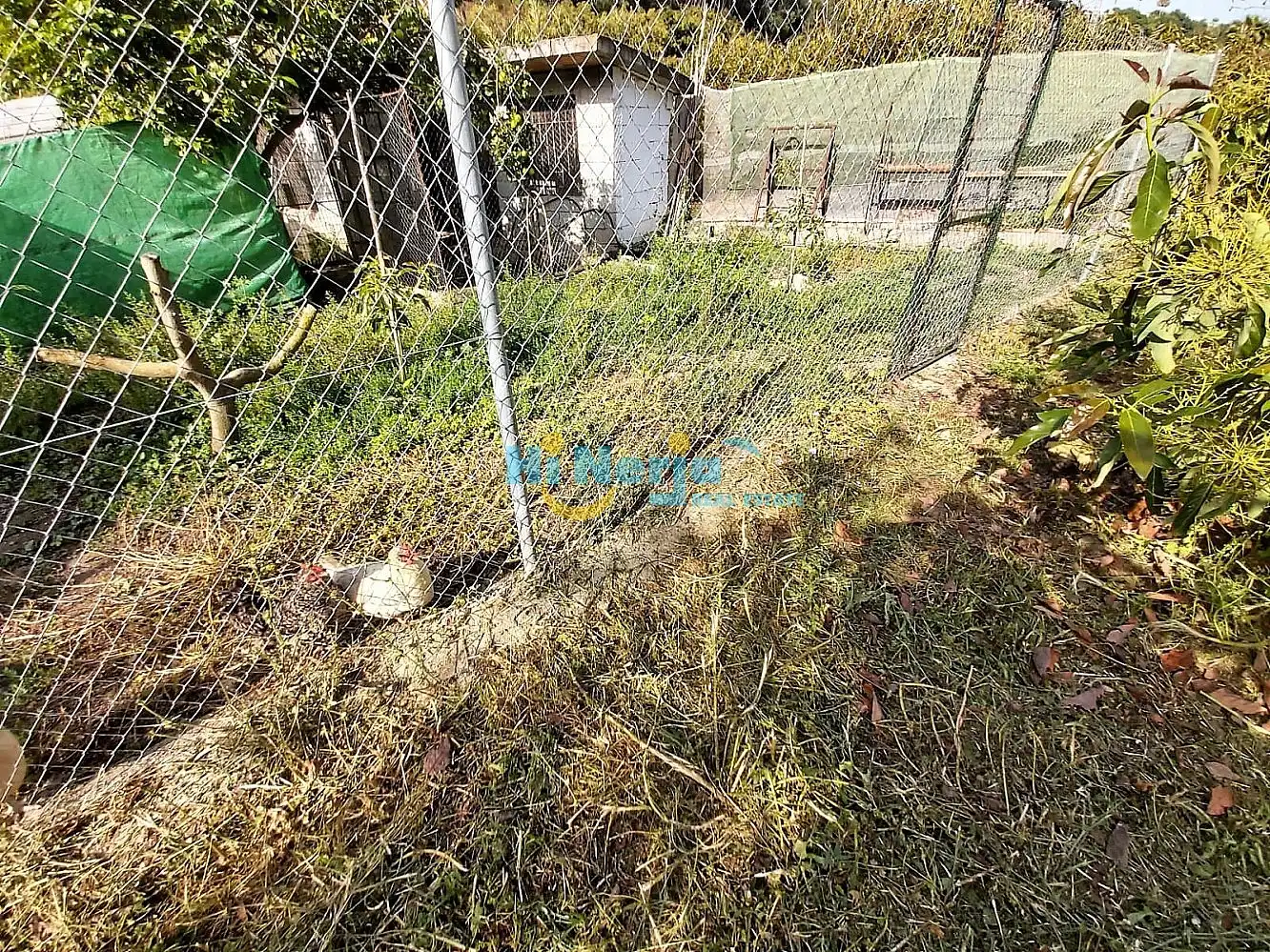 Casa amb piscina en venda a Centro, imagen 33