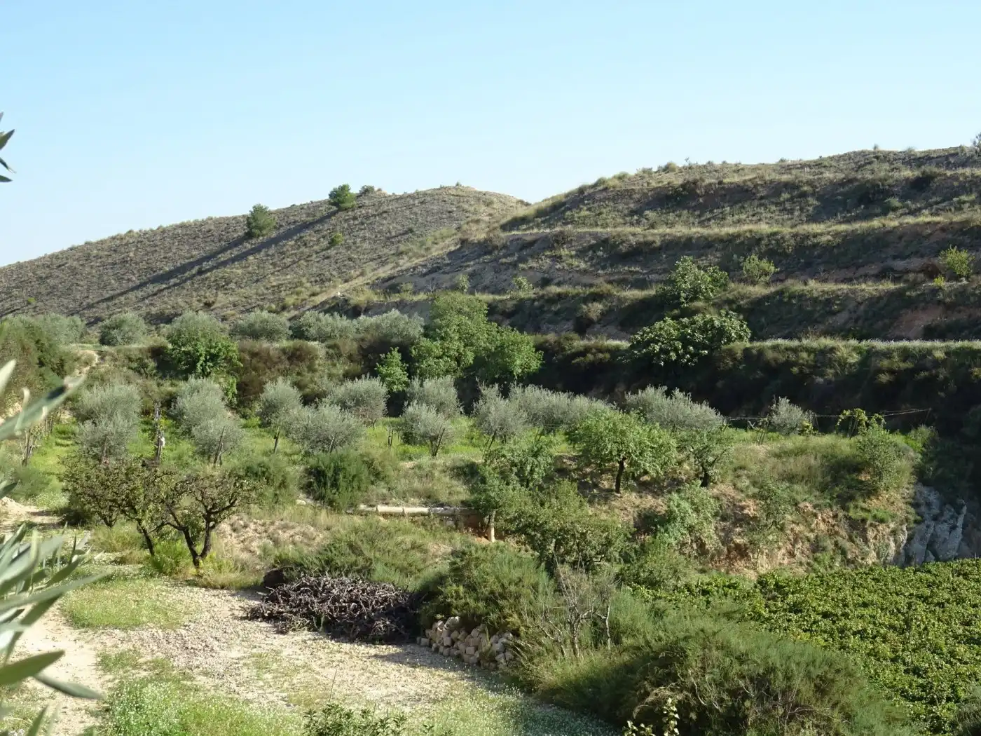 Casa o xalet en venda a Pedanías Este