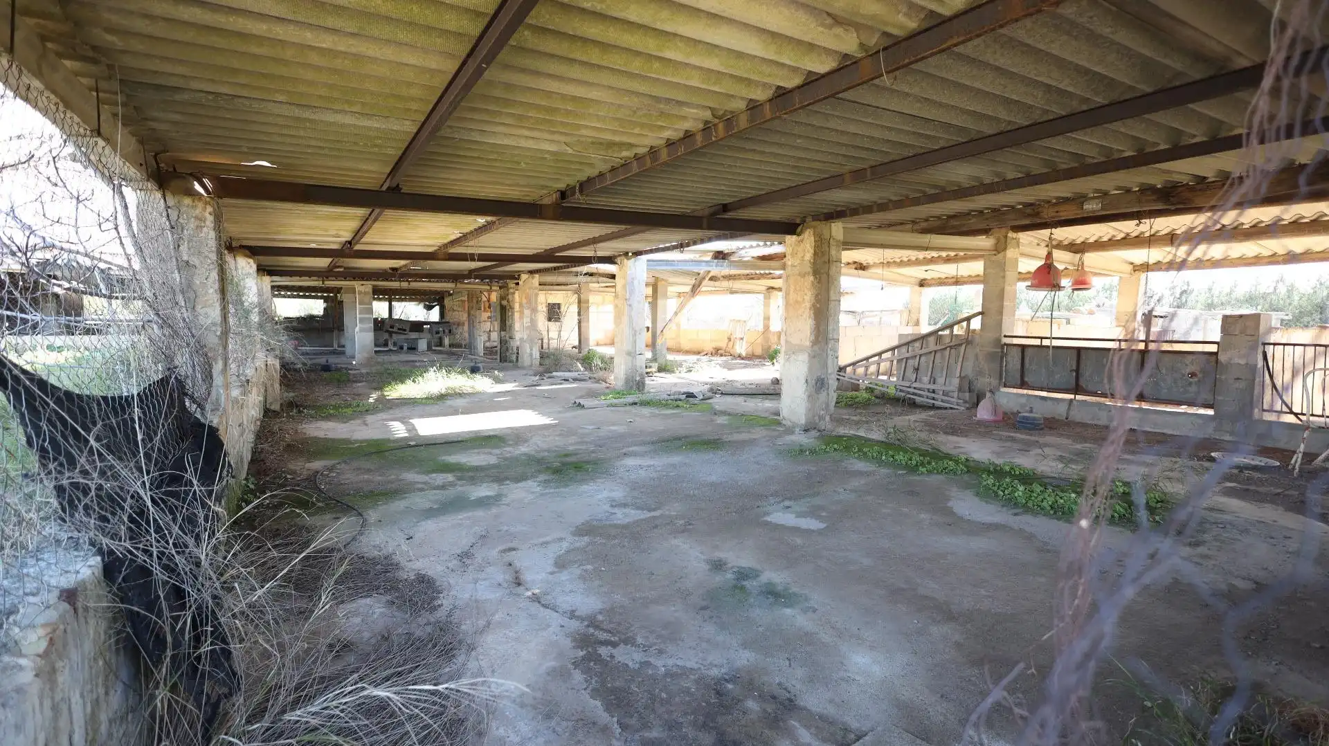 Terreno rustico in vendita a Binissalem, imagen 7