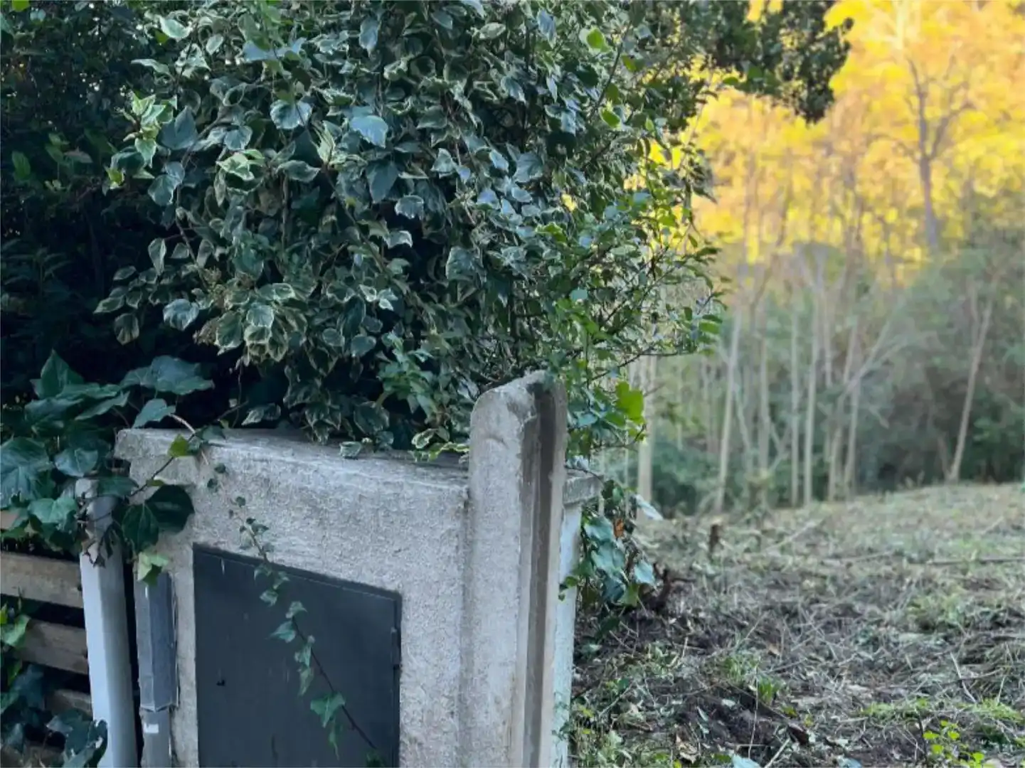 Terreno en venta en Les Planes