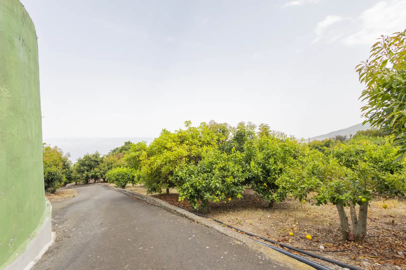 Houses for sale in La Orotava  with Private garden, Terrace and Storage room
