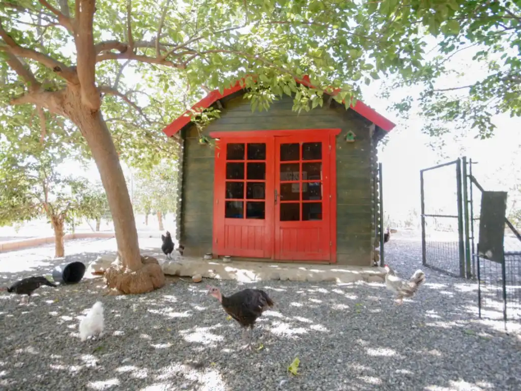 Casa rustica in vendita a Calle Bulerias, imagen 22