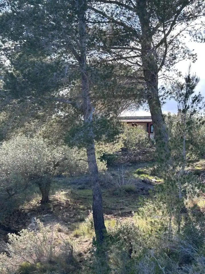 Landhaus zum Verkauf in Partida Serramoca, imagen 19