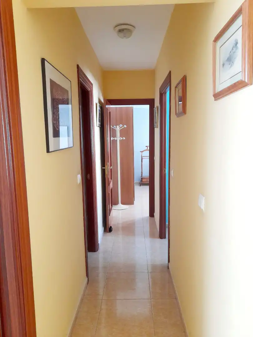 Wohnung mit Terrasse zur Miete in Calle Fernando el Católico 31, imagen 10