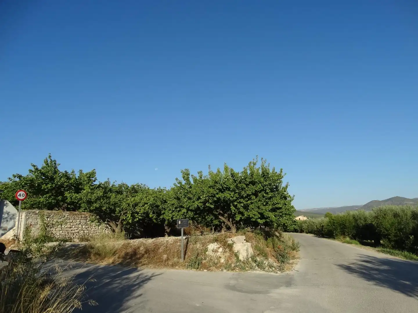 Terreny rústic en venda a Moratalla, imagen 4