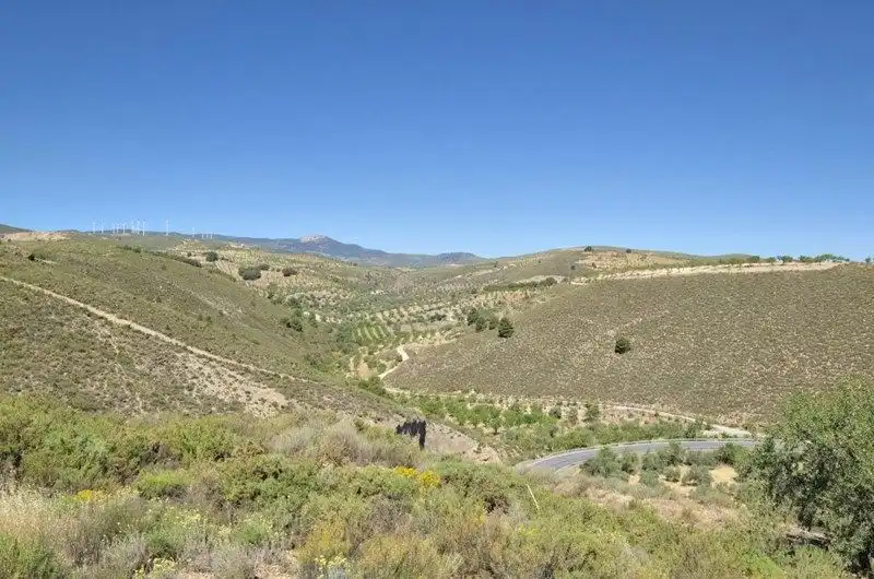 Terreny rústic en venda a Villamena, imagen 45