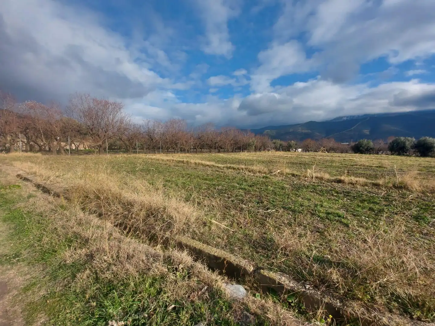Rural land for sale in Laujar de Andarax, imagen 6