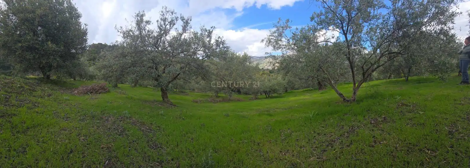 Terreno rustico in vendita a Polígono 11 Parcela 108 EL CERRILLAR. LOS GUAJARES (GRANADA)