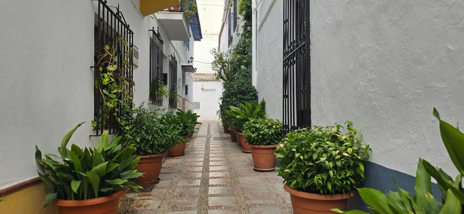 Àtic amb terrassa en venda a Calle Ancha, imagen 21