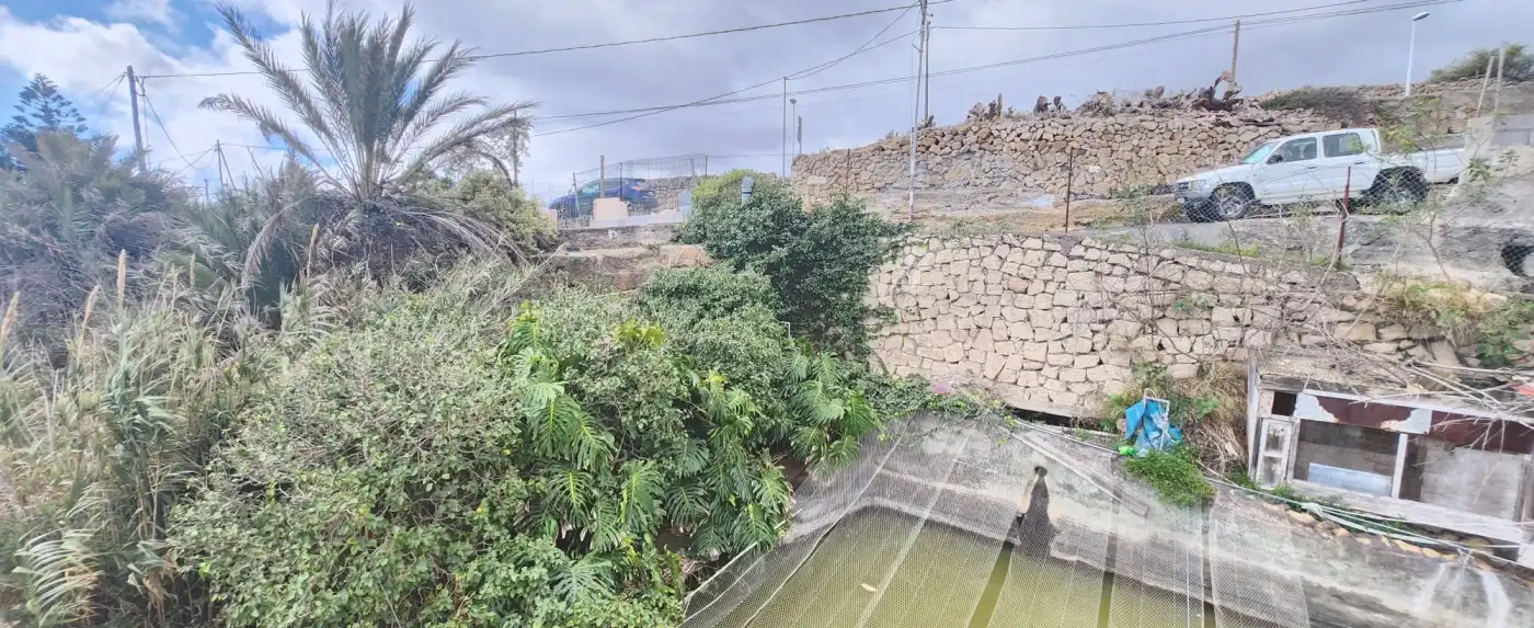 Terreno rustico in vendita a Vial Camino, imagen 5
