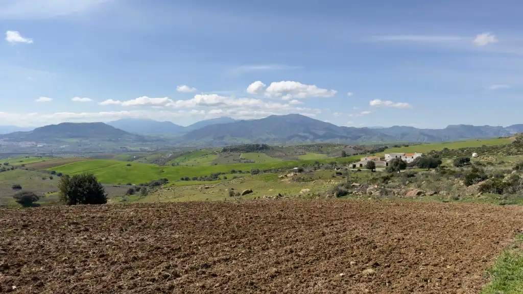 Casa rústica en venta en Álora, imagen 12