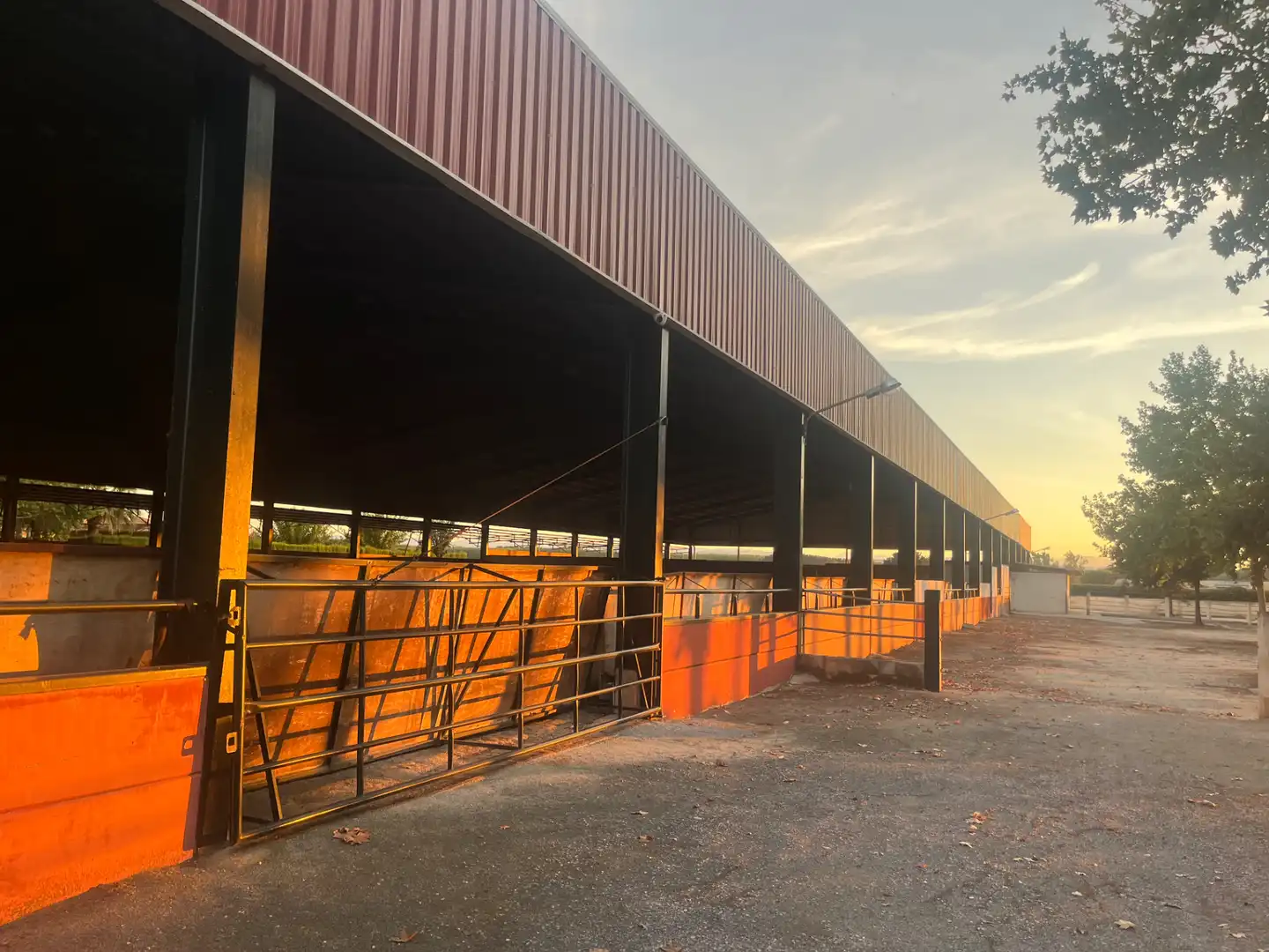 Industrial building for sale in Carretera de Córdoba, imagen 139